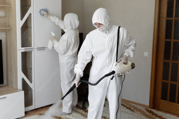 Best Industrial Mold Remediation in Hurley, MS